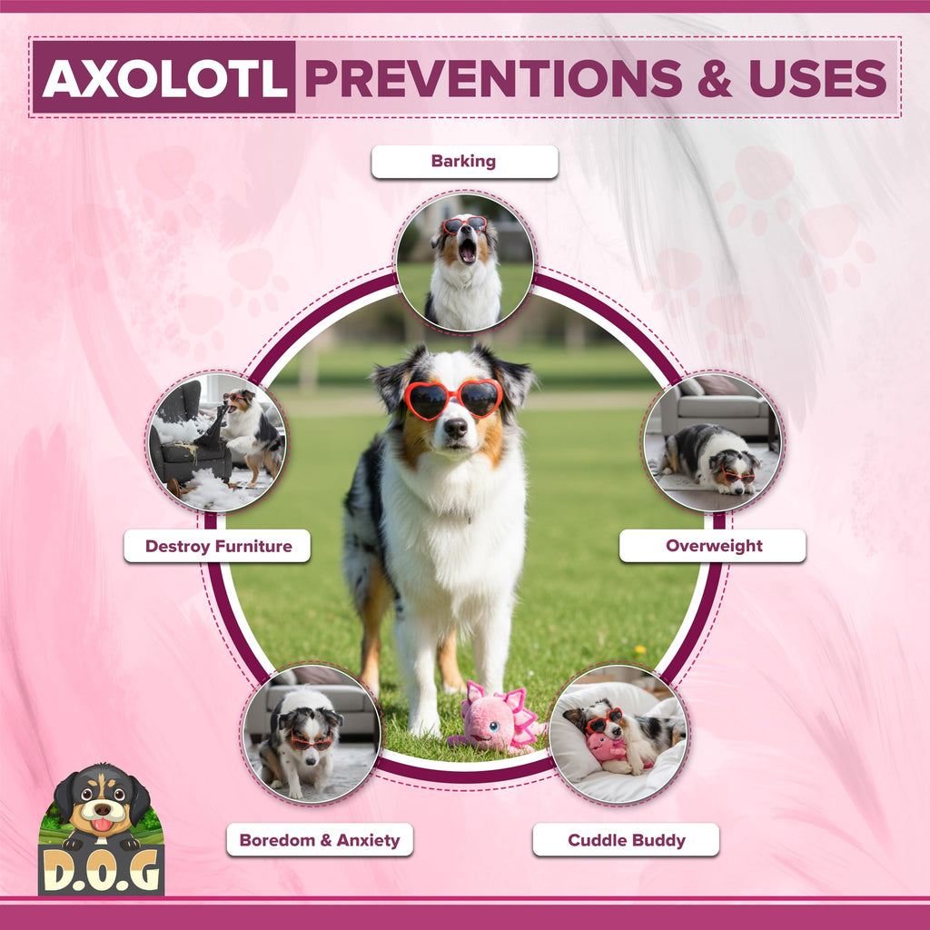 Axolotl Dog Toy – Squeaky & Crinkle Plush for All Dogs